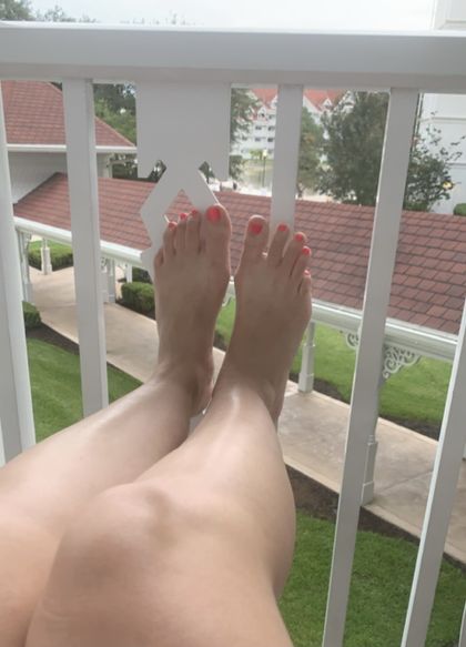 Barefoot Brunette's profile picture