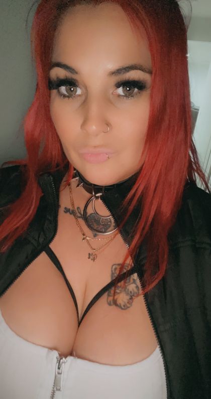 Lacey lane's profile picture