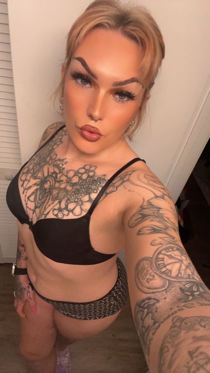 Tranny Queen's profile picture