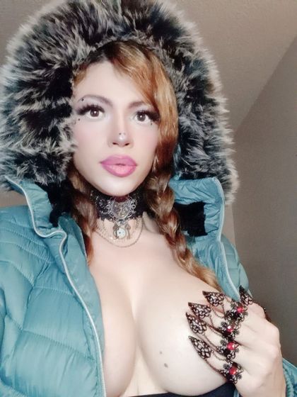 Trans World's profile picture