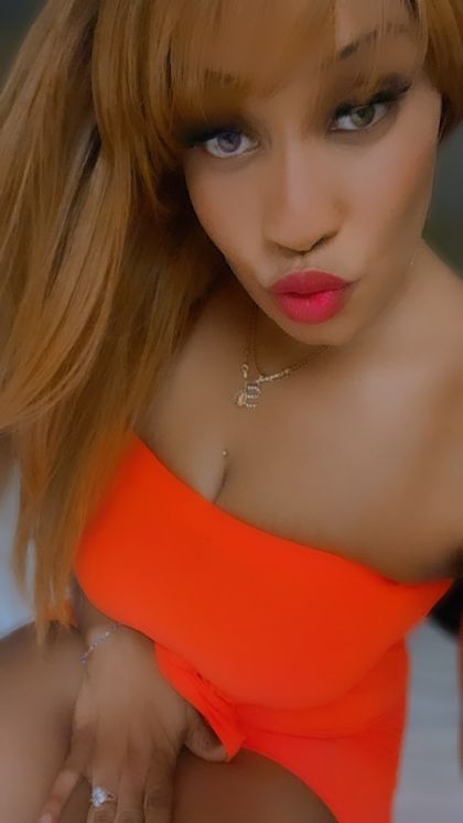 Trini's profile picture